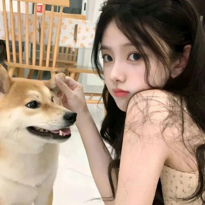 巡回检察组