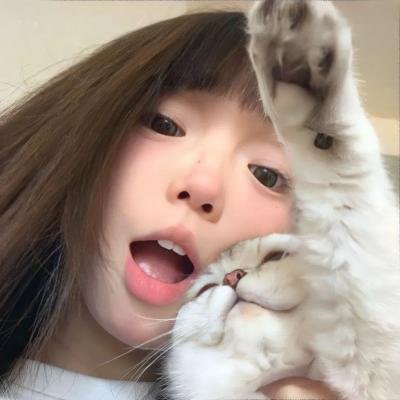 岗上花开